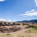 TZA_ARU_Ngorongoro_2016DEC26_Crater_091.jpg